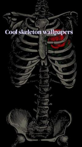Cool Skeleton Wallpaper Skull Dark iPhone