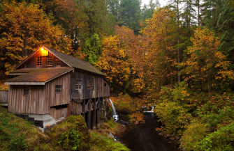 Wood House Wallpaper