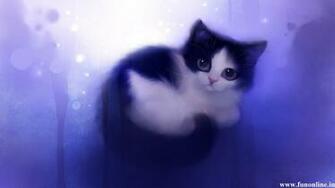 Cute Kitten Wallpaper
