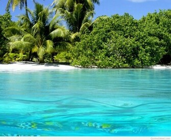 Awesome Summer Wallpaper