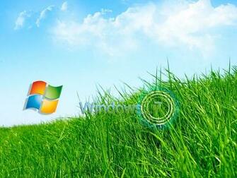 Wallpaper Windows Grass