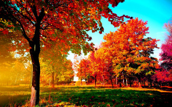 Desktop Fall Wallpaper High Quality