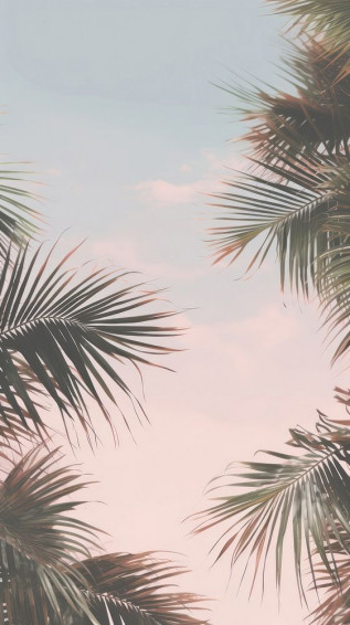 Aesthetic Palm Leaves Landscape Wallpaper