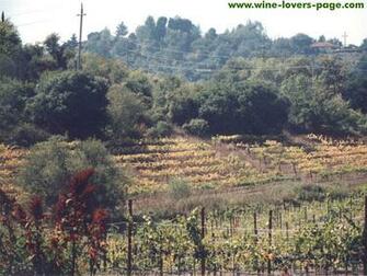 Wine Lovers Country Wallpaper