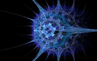 Amoeba Photoshop