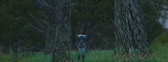 Pin 3d Dark Forest Trees Triple Screen Wallpaper