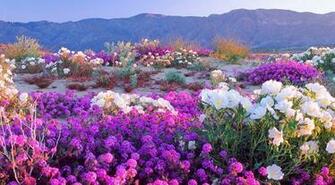 Spring Mountain