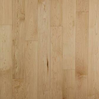 Go Back Pix For Hardwood