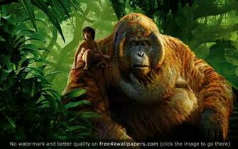 Bogdan Teodoru On Desktop Wallpaper Jungle Book