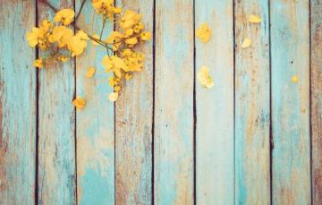 Wallpaper Flowers Spring Yellow Vintage Wood