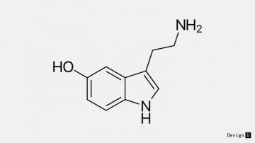 Serotonin By Karthi Subbaraman Timeless Ideas To Design U