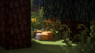 Fondos De Fotos Minecraft HD Wallpaper