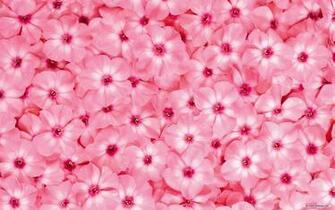 Flowers Wallpaper