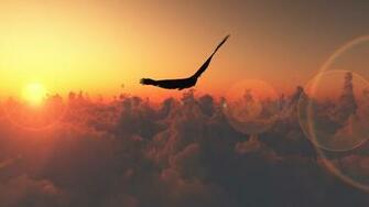Animals Bird Clouds Fly Rainbow Full HD Desktop Wallpaper
