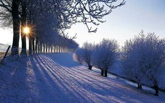 Beautiful Winter Wallpaper In Netherlands Country HD