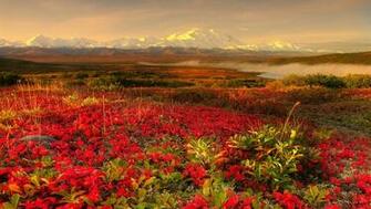 Alaska Beautiful HD Wallpaper Cool