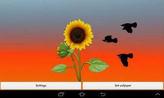 3d Sunflower Live Wallpaper Android Apps On Google Play