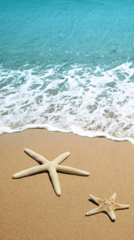Stunning Summer Wallpaper For iPhone Endless Vibes