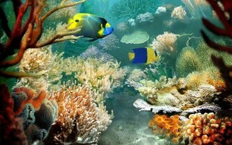 Ocean Wallpaper