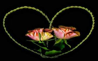 Heart Of Roses Wallpaper