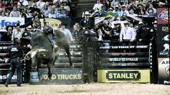 Top Pbr Logo Wallpaper