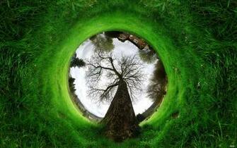 Fisheye Wallpaper