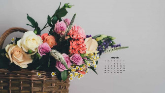 March Wallpaper Bies For Desktop Phones