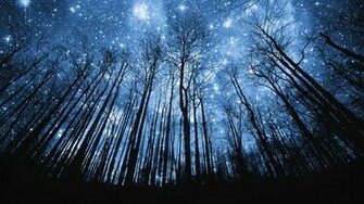 Stars Shining On The Night Sky