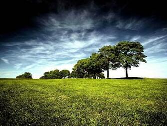 Nature Spring Wallpaper