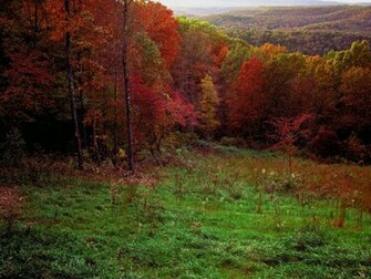 Autumn Wallpaper Desktop HD