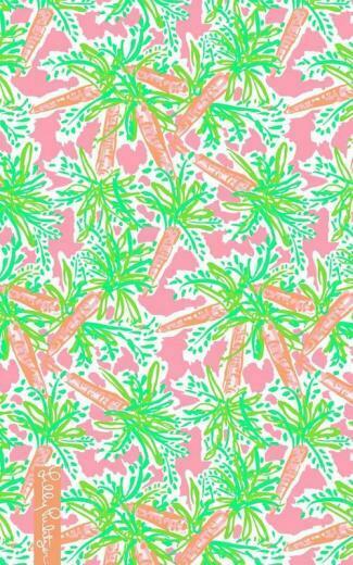 Boho iPhone Wallpaper