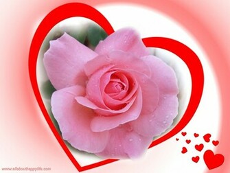 Pink Rose Love Wallpaper