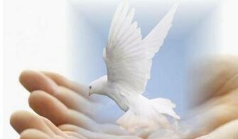 Know God Peace Women Of Grace