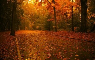 Fall Screensavers And Wallpaper