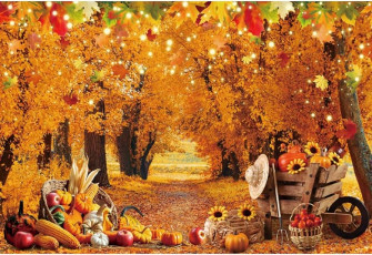Amazon Fabric Thanksgiving Day Backdrop Autumn Festival
