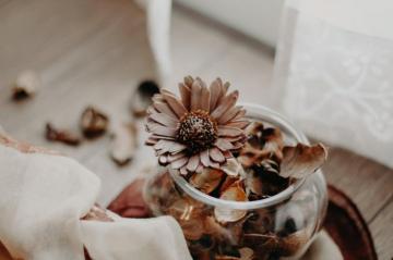 Brown Petaled Flowers In Vase Inside Room At Daytime Photo