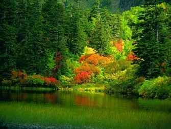 Nature Wallpaper Gallery HD