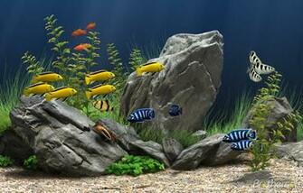Dream Aquarium Screensaver