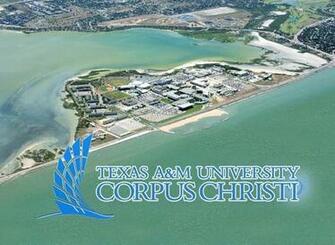 Texas A M Corpus Christi Best HD Wallpaper
