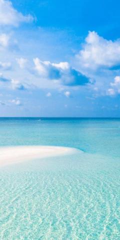 Tropical Beach Sea Sunny Day Blue Sky Nature