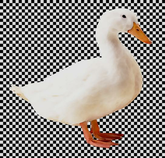 Snow Background Clipart Duck Bird Transparent Clip Art