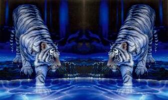 Wincustomize Explore Screensavers Twin Tigers