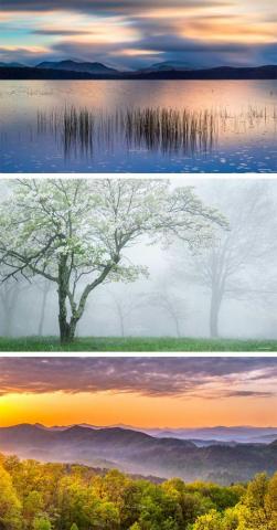 Spring Wallpaper Bundle Jeanine Leech Photography