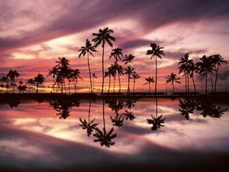Hawaii Ala Moana Beach Park Honolulu Oahu Screensaver