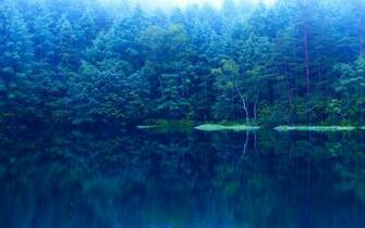 Summer Lake Wallpaper