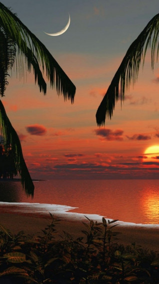 Tropical Paradise Sunset Desktop Pc And Mac Wallpaper