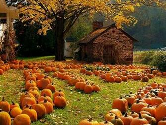 Love A New England Autumn My Favorite Seas