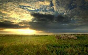 Pc Tapety A Pozadia Wallpaper Farm Scene