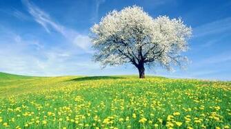 Time Of Spring Desktop Pc And Mac Wallpaper