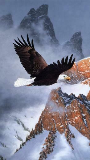 American Eagle Wallpaper Top Background